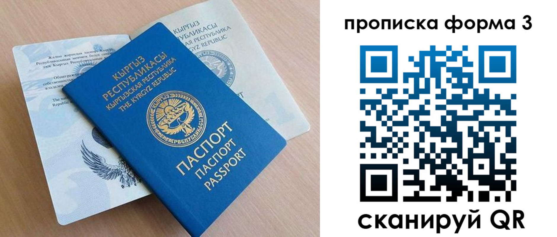где прописаться в Мурманской области