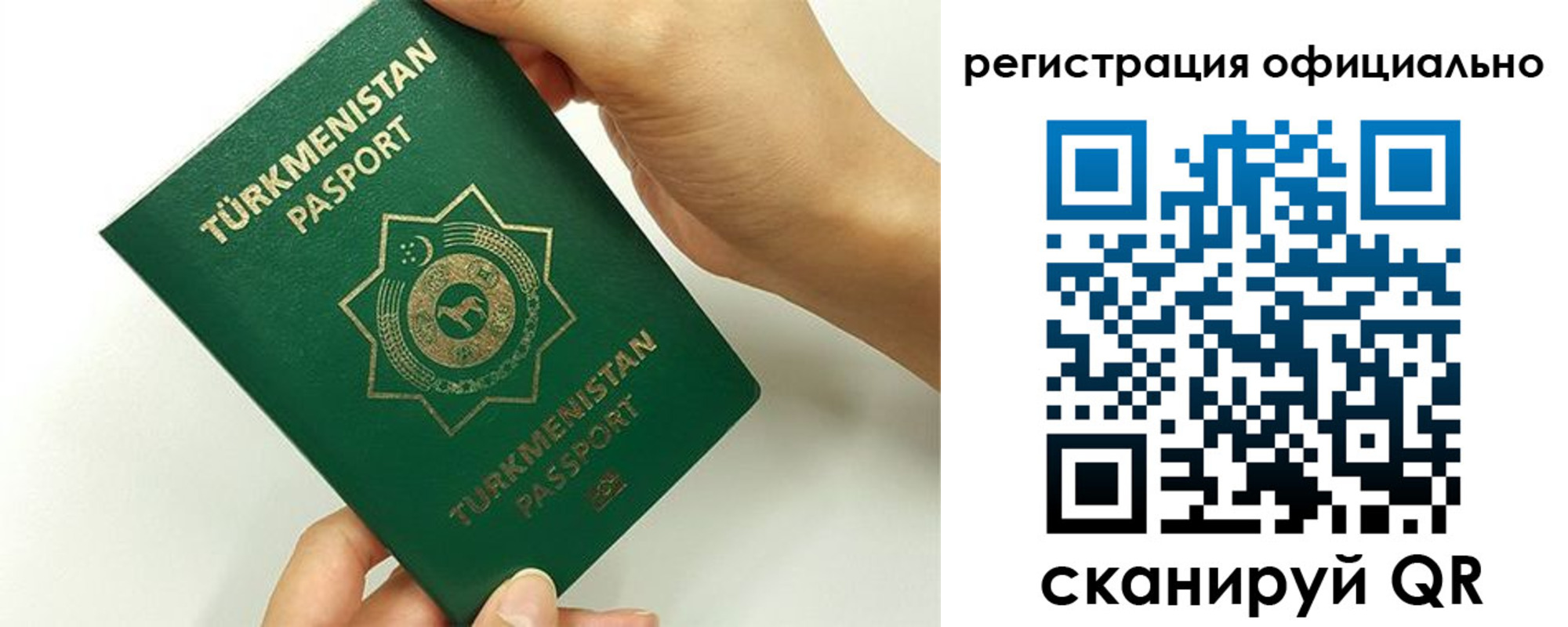 прописка поиск в Мурманской области